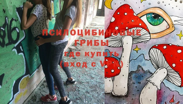 гидра Остров