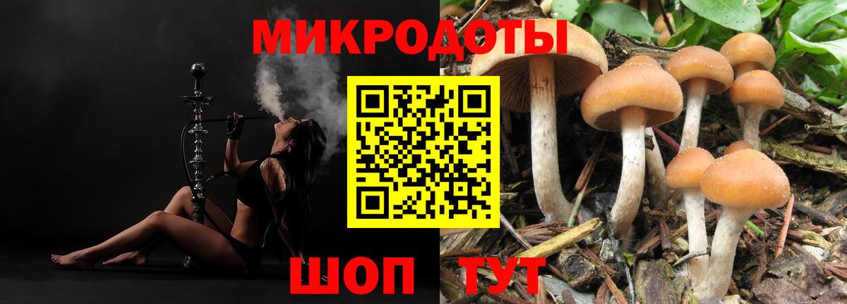 Кумертау  Псилоцибиновые грибы прущие грибы  Вход с VPN  магазин  наркотиков  Псилоцибиновые грибы мухоморы 