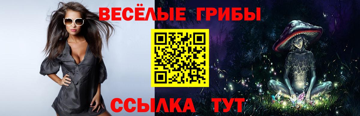 Псилоцибиновые грибы Psilocybe  продажа наркотиков  Кумертау 