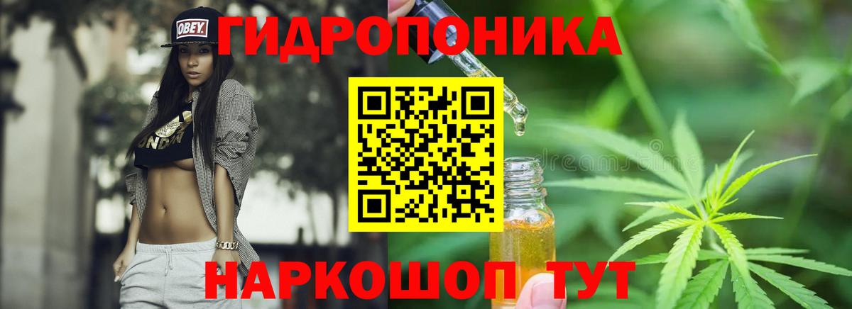 Шишки марихуана семена  Вход с VPN  МАРИХУАНА SATIVA & INDICA  Кумертау  Канабис SATIVA & INDICA 